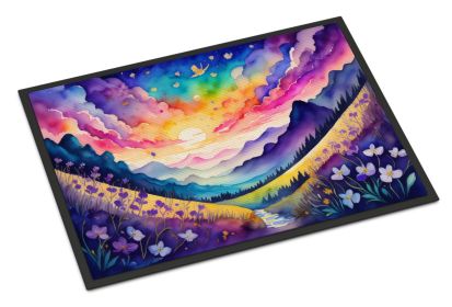 NEW Violets in Color Doormat Front Door Mat Indoor Outdoor Rugs for Entryway, Non Slip Washable Low Pile, 18H X 27W
