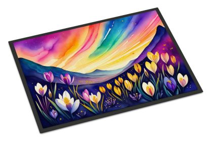 NEW Crocus in Color Doormat Front Door Mat Indoor Outdoor Rugs for Entryway, Non Slip Washable Low Pile, 18H X 27W