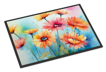 NEW Gerbera Daisies in Watercolor Doormat Front Door Mat Indoor Outdoor Rugs for Entryway, Non Slip Washable Low Pile, 18H X 27W