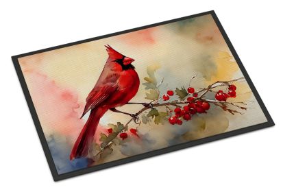 Cardinal Doormat Front Door Mat Indoor Outdoor Rugs for Entryway, Non Slip Washable Low Pile, 24H X 36W