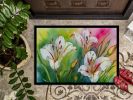 NEW Utah Sego Lilies in Watercolor Doormat Front Door Mat Indoor Outdoor Rugs for Entryway, Non Slip Washable Low Pile, 18H X 27W