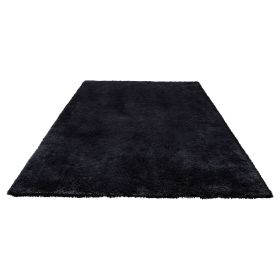 Indoor Plush Area Rugs, 8 x 10 ft Soft Plush Carpet, Furry Shag Area Rugs for Living Room, Bedroom, Sunroom, Modern Home Decor Aesthetic, Non-Shedding (Color: Black, size: 8x10 ft)